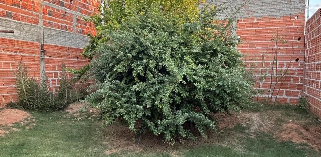 Oportunidade dinapoli 3 - Foto 9